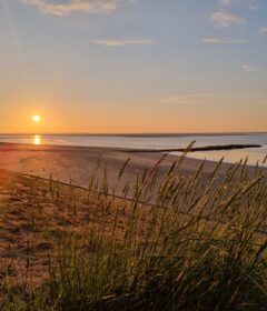 Zonsondergang aan het strand bij Waterzande