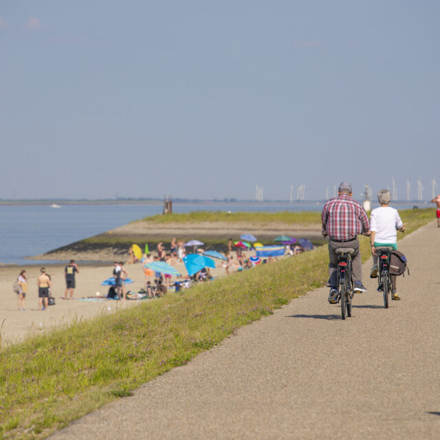 Verkoeling gevraagd! Mag je zwemmen in de Westerschelde?